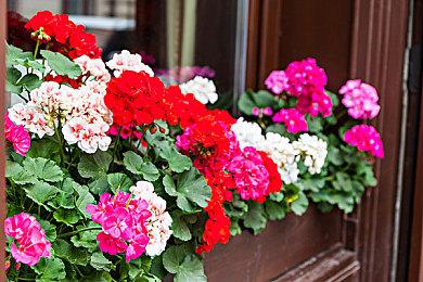 系列25周年庆 《皇牌空战7：未知空域》再推DLC